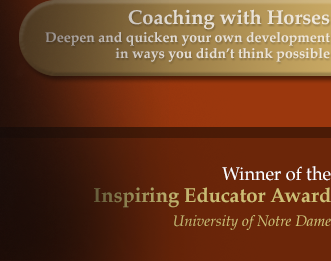 Winner of the Inspiring Educator Award, University of Notre Dame